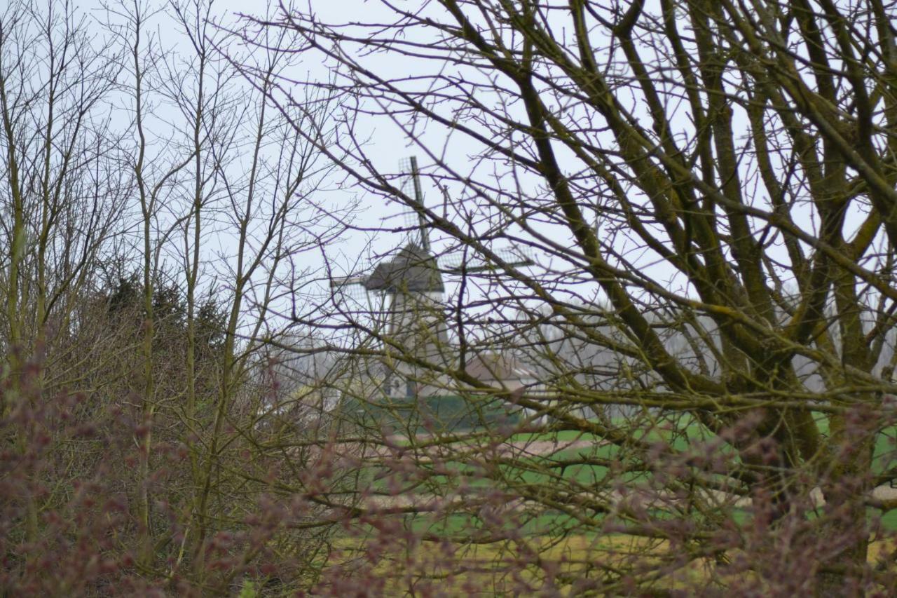 B&B Molenzicht Ninove Kültér fotó