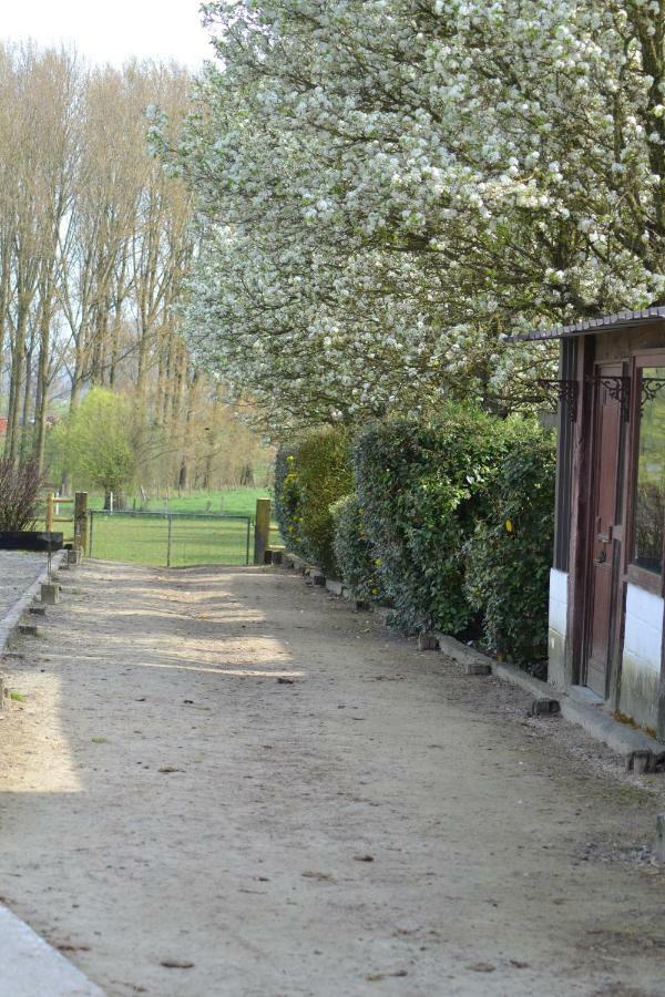 B&B Molenzicht Ninove Kültér fotó