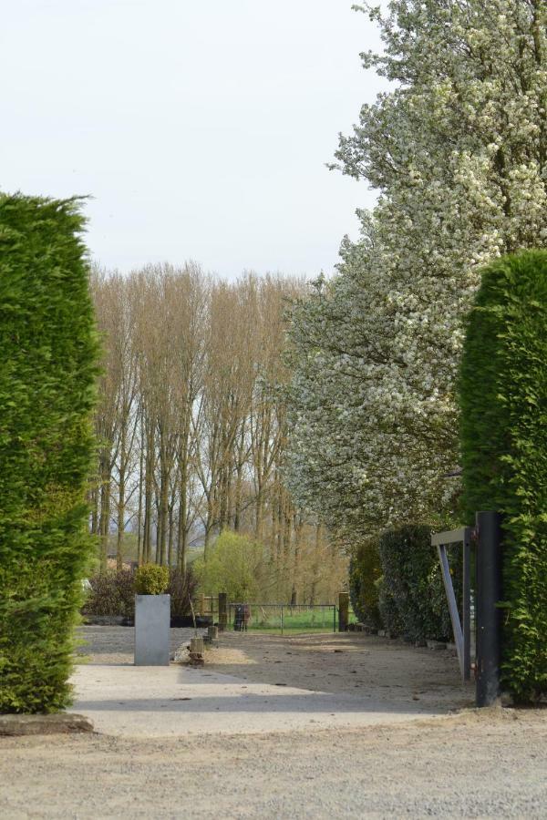 B&B Molenzicht Ninove Kültér fotó